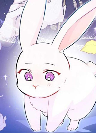 兔子和黑豹的共生关系 截图1